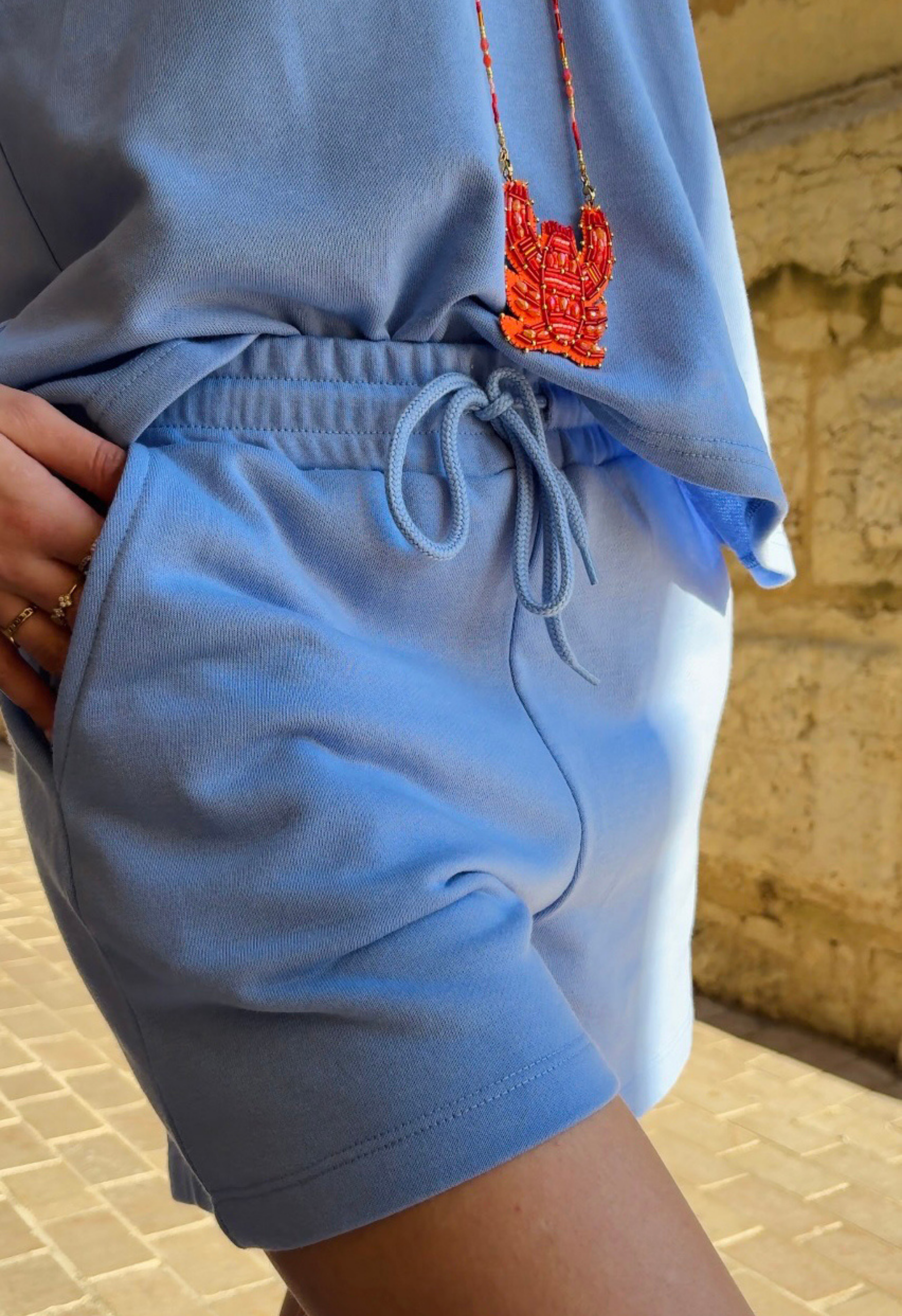 Ensemble Alicia